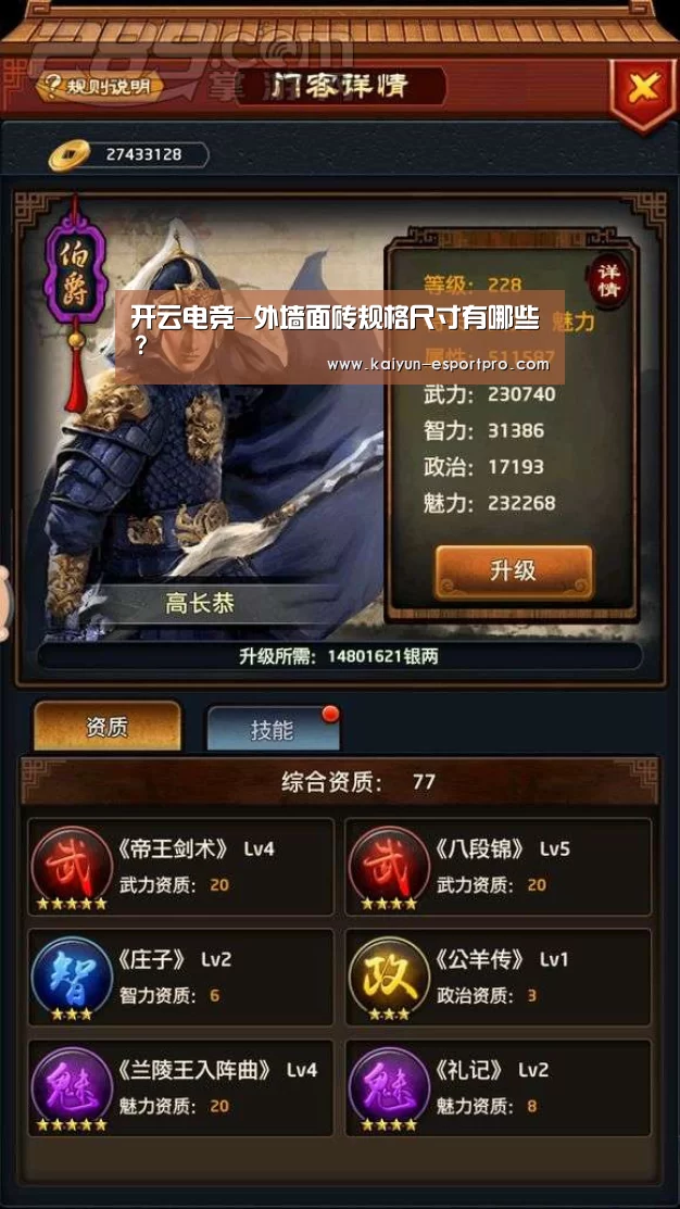 开云电竞